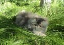 DSC05659.JPG