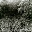 foto1.jpg