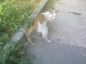 29072011078.jpg