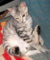 1DSCN2439.jpg