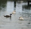 IMG_2007--.jpg