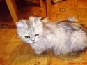 DSC00550.JPG