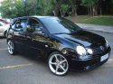 Polo03.jpg