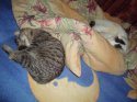 DSC02294.JPG