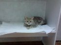2011-11-28 18.55.58.jpg