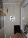 DSCF1775.JPG