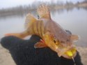 DSC08036.jpg