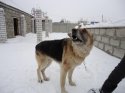 DSC01486 - копия.jpg
