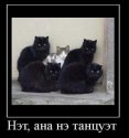 чб.jpg