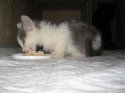 IMG_0134.jpg
