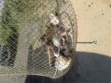 20120520_093937.jpg
