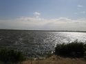 20120520_093916.jpg