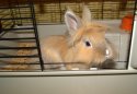 DSC02496.ARW.jpg