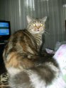 DSCN9392.jpg