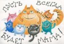 кошачья мама.jpg