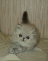 DSC01511.JPG