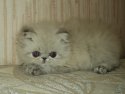 DSC01518.JPG