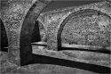 DSC05422-web.jpg