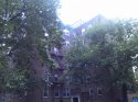 IMG_20120803_132943.jpg
