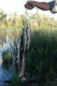 DSC07253.JPG