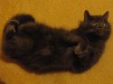 IMG_1044.jpg