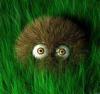 need for sleep