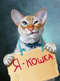 Ник Маки