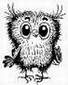 wiseowl