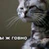Prodavec