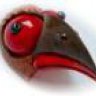 BoPoH