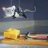 crazy_mouse